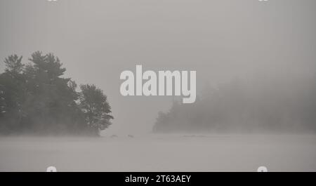 Brouillard sur le lac Cobbossee, Maine Banque D'Images