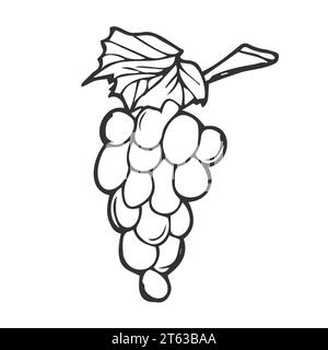 Vector Hand Drawn Bunch of Grapes Outline Doodle icône. Grappe de raisins esquisse illustration pour impression, web, mobile Illustration de Vecteur