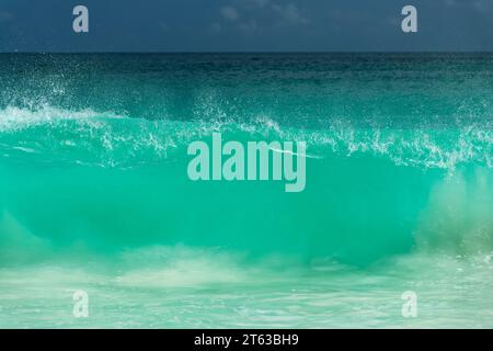 Puissante grosse vague géante se brisant sur le rivage aux Seychelles, océan abstrait Banque D'Images
