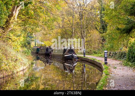 Bateaux de plaisance sur la branche de Llangollen de 46 miles de long du canal Union Shropshire avec des couleurs d'automne glorieuses dans les arbres le long du chemin de halage Banque D'Images