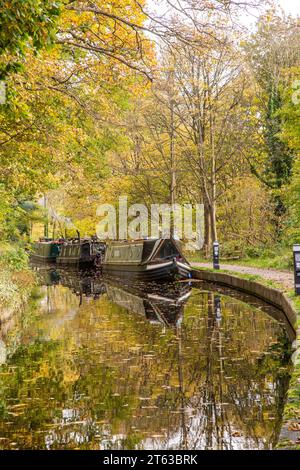 Bateaux de plaisance sur la branche de Llangollen de 46 miles de long du canal Union Shropshire avec des couleurs d'automne glorieuses dans les arbres le long du chemin de halage Banque D'Images