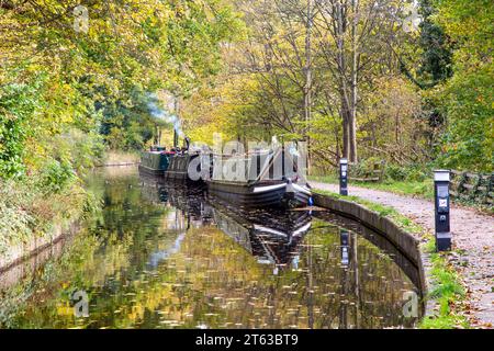 Bateaux de plaisance sur la branche de Llangollen de 46 miles de long du canal Union Shropshire avec des couleurs d'automne glorieuses dans les arbres le long du chemin de halage Banque D'Images