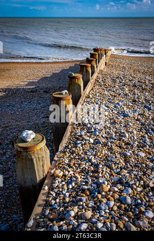 Rangée de pieux groyne avec une pierre placée sur le dessus d'eux. Montrant également les différents niveaux de plage de chaque côté du groyne. Banque D'Images