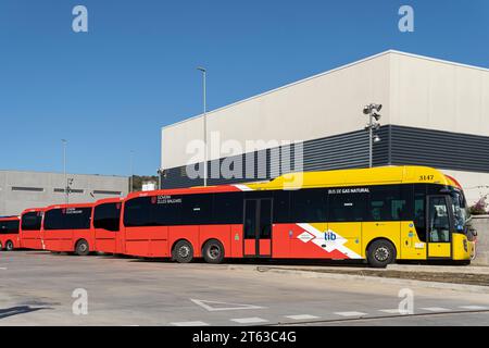 Felanitx, Espagne ; novembre 05 2023 : bus de la société publique TIB, garés dans un parc industriel à Felanitx, île de Majorque, Espagne Banque D'Images