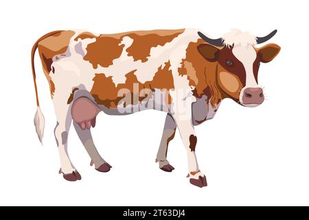 Une vache blanche avec des taches brunes est isolée sur un fond blanc. Bétail pour illustrer la vie dans une ferme écologique. Logo pour la production de produits laitiers Illustration de Vecteur