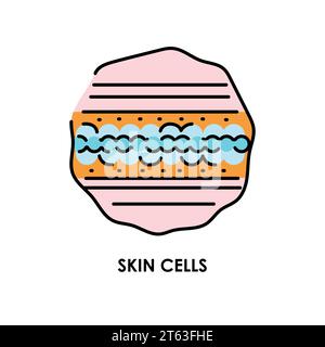 Icône de ligne de couleur des cellules de peau. Micro-organismes microbes, bactéries. Elément isolé par vecteur. Contour modifiable. Illustration de Vecteur