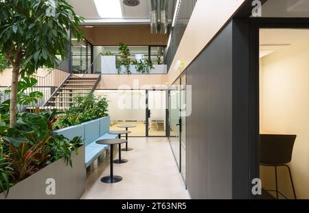 Élégant bureau de coworking à Madrid Espagne dispose d'un escalier élégant de verdure intérieure et de cloisons transparentes accentuant le design moderne Banque D'Images