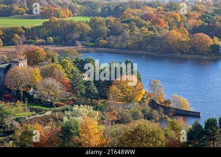 Duddingston, Édimbourg, Écosse, Royaume-Uni. 8 novembre 2023. Enfreindre les règles de photographie consistant à éviter de tirer dans la lumière (contre jour) a permis dans ce cas au soleil lumineux de mettre en évidence les couleurs automnales brillantes des arbres à feuilles caduques situés autour de Duddingston Kirk et Loch ainsi que la réserve faunique de Bawsinch dans Holyrood Park. Banque D'Images