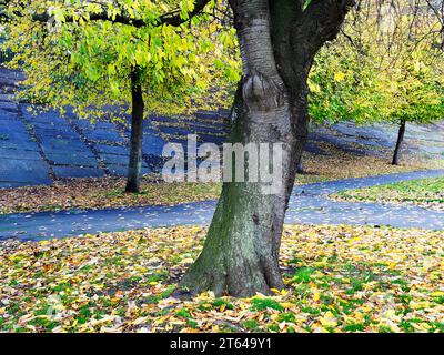 Penny Pocket Park en automne faisait autrefois partie du cimetière de Leeds Minster avec de vieilles pierres tombales sur le remblai ferroviaire Leeds Angleterre Banque D'Images