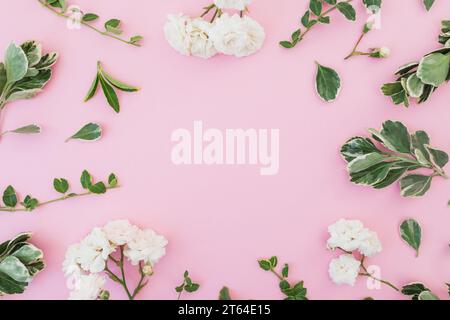 Fleurs de roses blanches et feuilles vertes sur fond rose. Pose à plat, vue de dessus Banque D'Images