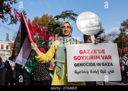 Istanbul, Turquie. 08 novembre 2023. Une manifestante a vu tenir un drapeau palestinien et une pancarte disant "génocide à Gaza" pendant la manifestation. L'Initiative de solidarité avec les femmes palestiniennes se poursuit le 8e jour de la manifestation sit-in de 15 jours sur la place Sultanahmet. Crédit : SOPA Images Limited/Alamy Live News Banque D'Images