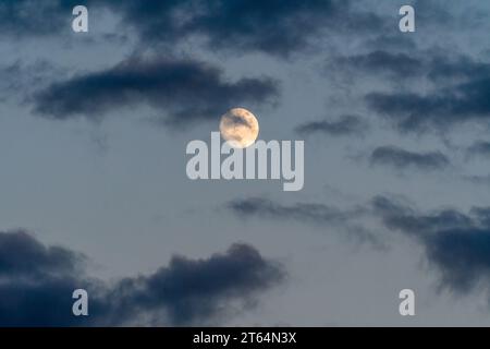 Lever de lune jaunâtre dans le ciel nuageux gris au coucher du soleil Banque D'Images