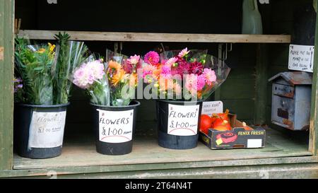 Stalle routière vendant des fleurs coupées - John Gollop Banque D'Images