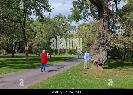 Un homme âgé photographié par sa compagne un jour ensoleillé d'automne à Kew Gardens West London Angleterre Royaume-Uni Banque D'Images