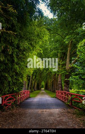 Une allée sous les arbres dans le Parc de Richelieu dans la commune du meme nom en Indre et Loire Banque D'Images