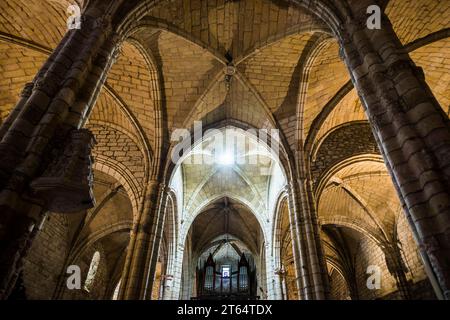 Vue intérieure, église, la Puerta de las Gentes, San Vicente de la Barquera, Cantabrie, Espagne Banque D'Images