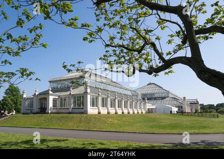 Maison tempérée, la plus grande serre victorienne du monde, jardins botaniques royaux (Kew Gardens), site du patrimoine mondial de l'UNESCO, Kew, Grand Londres Banque D'Images