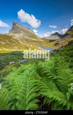 Vue sur la vallée d'Alnesdalen, la montagne Stigbotthornet, le lac Alnesvatnet, le parc national de Reinheimen, More og Romsdal, Norvège Banque D'Images