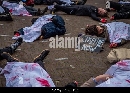 La Haye, Hollande du Sud, pays-Bas. 8 novembre 2023. Lors d'un die-in, un militant affiche un panneau de protestation ''cessez-le-feu maintenant''. Le 8 novembre 2023, des militants de XR.JusticeNow ! Ils ont peint leurs mains en rouge sang et ont mis en scène un ''die-in'' à l'entrée principale du bâtiment du Parlement néerlandais. (Image de crédit : © James Petermeier/ZUMA Press Wire) USAGE ÉDITORIAL SEULEMENT! Non destiné à UN USAGE commercial ! Banque D'Images