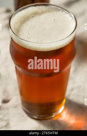 Bière artisanale Boozy Cold Dark Brown dans un verre à pinte Banque D'Images