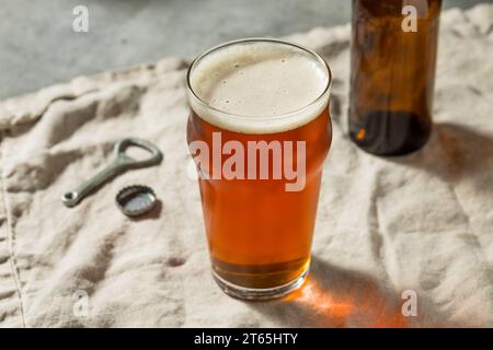 Bière artisanale Boozy Cold Dark Brown dans un verre à pinte Banque D'Images
