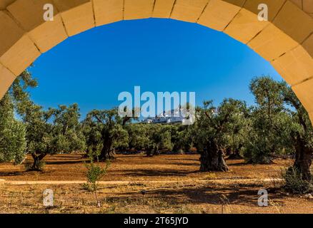 Vue lointaine d'Ostuni, Pouilles, Italie encadrée par un balcon de ferme et avec des oliviers au premier plan Banque D'Images