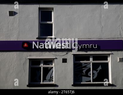 NatWest Cymru signe et logo avec dessin de dragon sur la fenêtre, sur le côté du bâtiment, Canton, Cardiff. Prise en novembre 2023. Automne. Banque D'Images