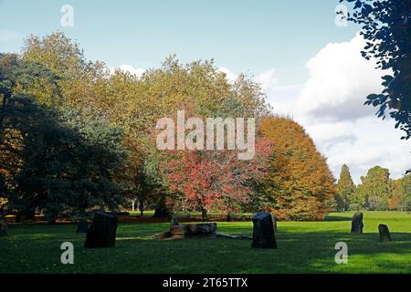 Scène d'automne à Bute Park, Cardiff. Prise à l'automne 2023. Novembre. Banque D'Images