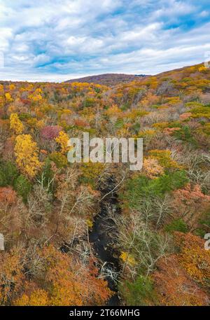 Vue aérienne panoramique du feuillage de la vallée de l'Hudson dans le nord de l'État de New York Banque D'Images