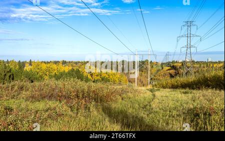 Corridor de la ligne de transmission de la ville d'Edmonton en saison d'automne avec fond bleu de ciel et feuilles jaunes à l'avant-plan Banque D'Images