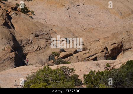 Les parois rocheuses escarpées d'un canyon de l'Utah montrent les effets des intempéries alors que les poches, les trous et les petites grottes s'érodent en grès dans la région des four Corners. Banque D'Images