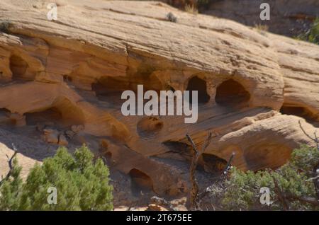 Les parois rocheuses escarpées d'un canyon de l'Utah montrent les effets des intempéries alors que les poches, les trous et les petites grottes s'érodent en grès dans la région des four Corners. Banque D'Images