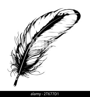 Plume d'oiseau décorative dans un style simple. esquissez des dessins vectoriels dessinés à la main. Illustration de Vecteur