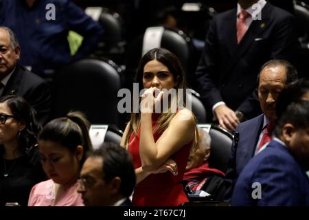 Mexico, Mexique. 08 novembre 2023. 8 novembre 2023, Mexico, Mexique : représentant fédéral, Andrea Chavez Treviño, dans la séance de discussion sur le budget de dépenses de la Fédération 2024 à la Chambre des députés à Mexico. Le 8 novembre 2023 à Mexico, Mexique (photo de Luis Barron/Eyepix Group/Sipa USA). Crédit : SIPA USA/Alamy Live News Banque D'Images