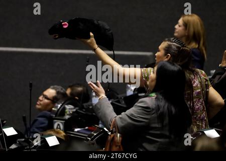 Mexico, Mexique. 08 novembre 2023. 8 novembre 2023, Mexico, Mexique : un législateur montre un rat bourré à la séance de discussion du budget de dépenses de la Fédération 2024 à la Chambre des députés à Mexico. Le 8 novembre 2023 à Mexico, Mexique (photo de Luis Barron/Eyepix Group/Sipa USA). Crédit : SIPA USA/Alamy Live News Banque D'Images