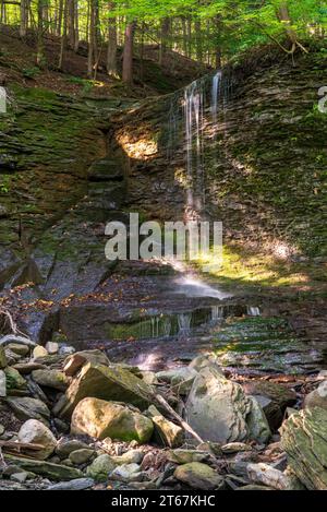 Chute d'eau isolée dans les Finger Lakes du nord de l'État de New York Banque D'Images