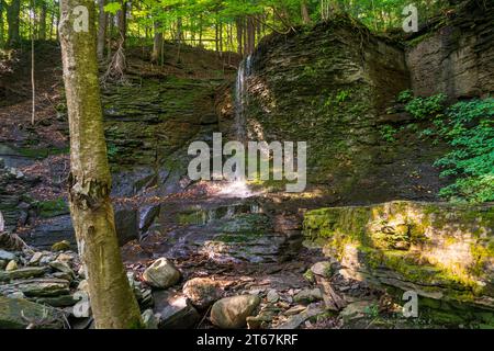 Chute d'eau isolée dans les Finger Lakes du nord de l'État de New York Banque D'Images