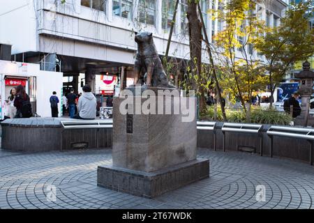 9 novembre 2023, Tokyo, Japon : les touristes font la queue pour prendre une photo avec la statue de Hachiko au Shibuya Scramble. ..HachikÅ (ãƒãƒå…¬) était un chien japonais Akita célèbre pour attendre à la gare de Shibuya tous les jours son défunt propriétaire HidesaburÅ Ueno. L'histoire de Hachiko est vénérée pour la loyauté et la compassion du chien et est célèbre dans le monde entier. (Image de crédit : © Taidgh Barron/ZUMA Press Wire) USAGE ÉDITORIAL SEULEMENT! Non destiné à UN USAGE commercial ! Banque D'Images