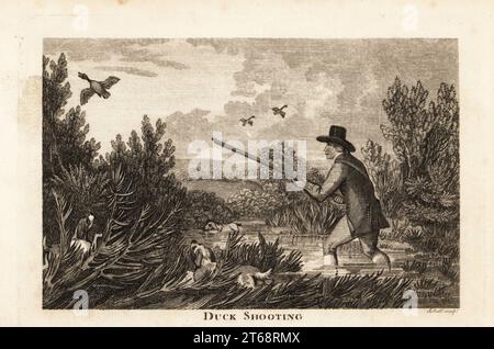 Chasseur avec des caniels d'eau tirant des canards sauvages dans les marais. Chasse au canard. Gravure sur plaque de coperplate du Sporting Magazine, ou Calendrier mensuel des transactions de la Turf et de la Chace, John Wheble, Londres, 1796. Banque D'Images