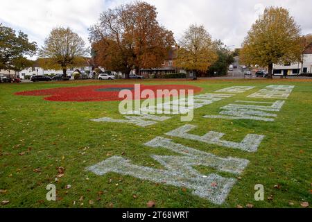 Wooburn Green, Royaume-Uni. 9 novembre 2023. Un magnifique énorme cypher de coquelicot a été peint sur le vert du village à Wooburn Green, Buckinghamshire avant le jour de l'Armistice et le dimanche du souvenir ce week-end avec les mots Wooburn Green We Will Remember. Prenant trois heures pour terminer, le coquelicot de 10 pieds a été conçu et peint par le gardien de sol local et gestionnaire des contrats à Groundtel, Danny Perkins. Les 1st Wooburn Scouts ont également placé 146 croix commémoratives à côté du coquelicot en mémoire des villageois morts pendant la première et la Seconde Guerre mondiale. Crédit : Maureen McLean/Alamy Live News Banque D'Images