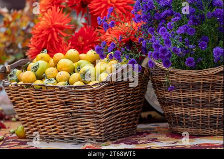 Un panier en osier avec des kakis frais et un bouquet de fleurs d'automne, gros plan Banque D'Images