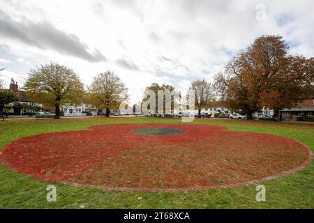 Wooburn Green, Royaume-Uni. 9 novembre 2023. Un magnifique énorme cypher de coquelicot a été peint sur le vert du village à Wooburn Green, Buckinghamshire avant le jour de l'Armistice et le dimanche du souvenir ce week-end avec les mots Wooburn Green We Will Remember. Prenant trois heures pour terminer, le coquelicot de 10 pieds a été conçu et peint par le gardien de sol local et gestionnaire des contrats à Groundtel, Danny Perkins. Les 1st Wooburn Scouts ont également placé 146 croix commémoratives à côté du coquelicot en mémoire des villageois morts pendant la première et la Seconde Guerre mondiale. Crédit : Maureen McLean/Alamy Live News Banque D'Images