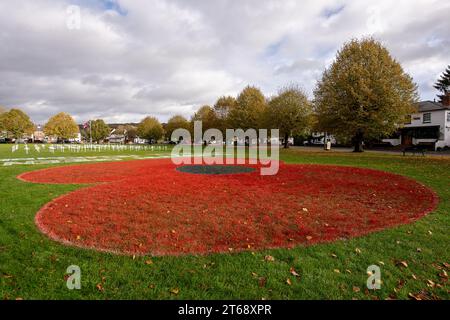 Wooburn Green, Royaume-Uni. 9 novembre 2023. Un magnifique énorme cypher de coquelicot a été peint sur le vert du village à Wooburn Green, Buckinghamshire avant le jour de l'Armistice et le dimanche du souvenir ce week-end avec les mots Wooburn Green We Will Remember. Prenant trois heures pour terminer, le coquelicot de 10 pieds a été conçu et peint par le gardien de sol local et gestionnaire des contrats à Groundtel, Danny Perkins. Les 1st Wooburn Scouts ont également placé 146 croix commémoratives à côté du coquelicot en mémoire des villageois morts pendant la première et la Seconde Guerre mondiale. Crédit : Maureen McLean/Alamy Live News Banque D'Images