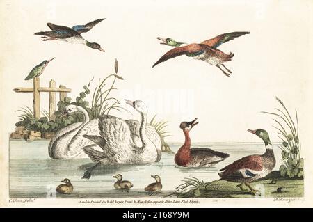 Scène bucolique d'étang avec canards, cygnes, kingfisher, poussins. Gravure sur cuivre colorée à la main par Peter Paul Benazech d'après Charles Fenn de Robert Sayers The Artists Vade Mecum, Being the Whole Art of Drawing, Londres, 1766. Banque D'Images