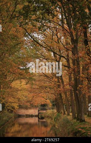 Impressionen von Kloster Dinklage im Herbst Banque D'Images