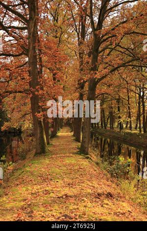 Impressionen von Kloster Dinklage im Herbst Banque D'Images