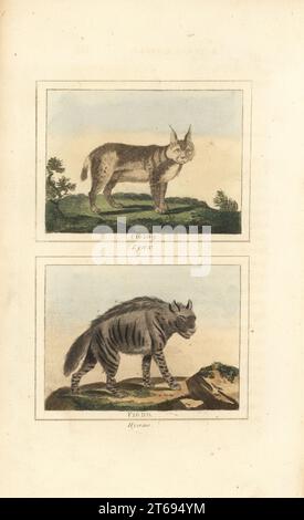 Lynx eurasien, Lynx lynx 109, et hyène rayée, Hyaena hyaena 110. Gravure sur cuivre colorée à la main d'après Jacques de Seve de James Smith Barrs édition de Comte Buffons Natural History, A Theory of the Earth, General History of Man, brute Creation, Vegetables, Minerals, T. Gillet, H. D. Symonds, Paternoster Row, Londres, 1807. Banque D'Images