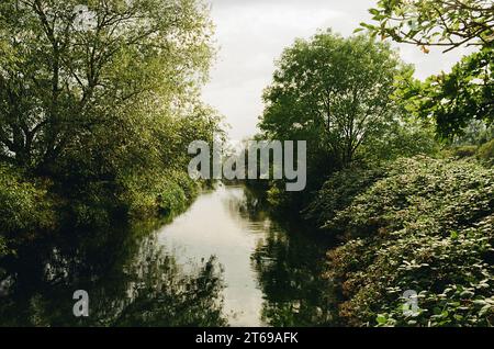 The Coppermill Stream, Walthamstow Wetlands, Londres Royaume-Uni Banque D'Images