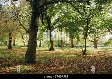 Finsbury Park dans le quartier londonien de Haringey, Londres Royaume-Uni, au début de l'automne Banque D'Images