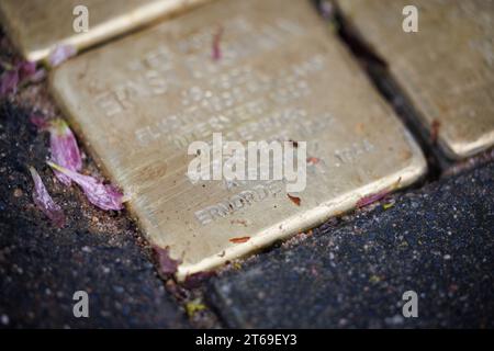 Bielefeld, Allemagne. 09 novembre 2023. Les mots "déporté", "Auschwitz" et "assassiné" sont écrits sur une pierre de chute. Dans la nuit du pogrom du 9 novembre 1938, des magasins juifs, des lieux de culte et d'autres institutions ont été incendiés ou endommagés dans toute l'Allemagne. Les historiens estiment que plus de 1 300 personnes ont perdu la vie à la suite du pogrom. Les victimes du national-socialisme sont commémorées à l'occasion du 85e anniversaire de la nuit du pogrom. Crédit : Friso Gentsch/dpa/Alamy Live News Banque D'Images